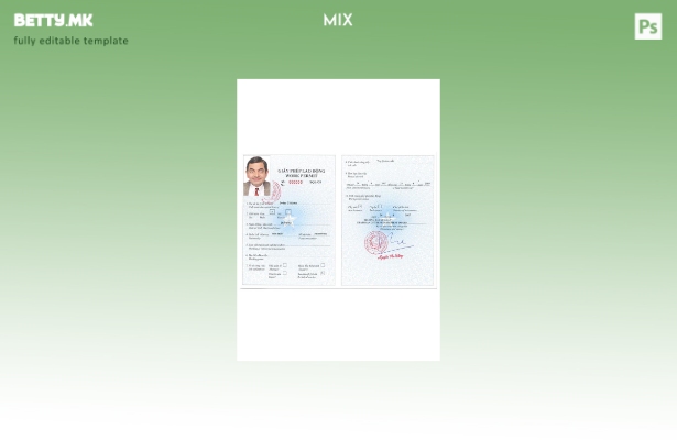 Шаблон за верзија на работна дозвола во Виетнам во модерен стил